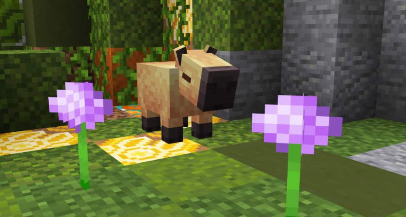 Capybara Minecraft