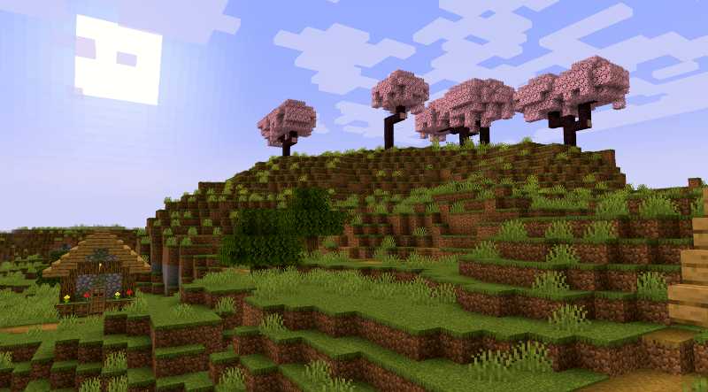 Cherry Tree Hill Minecraft 1.20