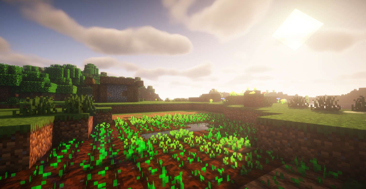Minecraft Lifesteal Farm