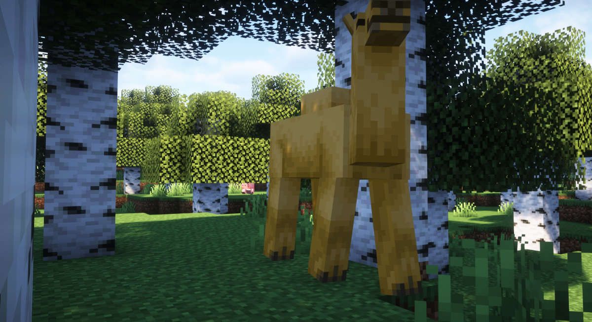 Minecraft Camel 1.20